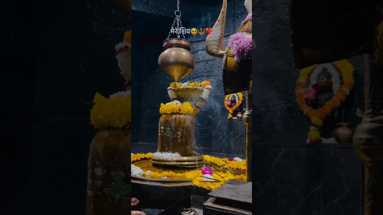 Mahadev Status Video π | Bholenath & Shiv Status