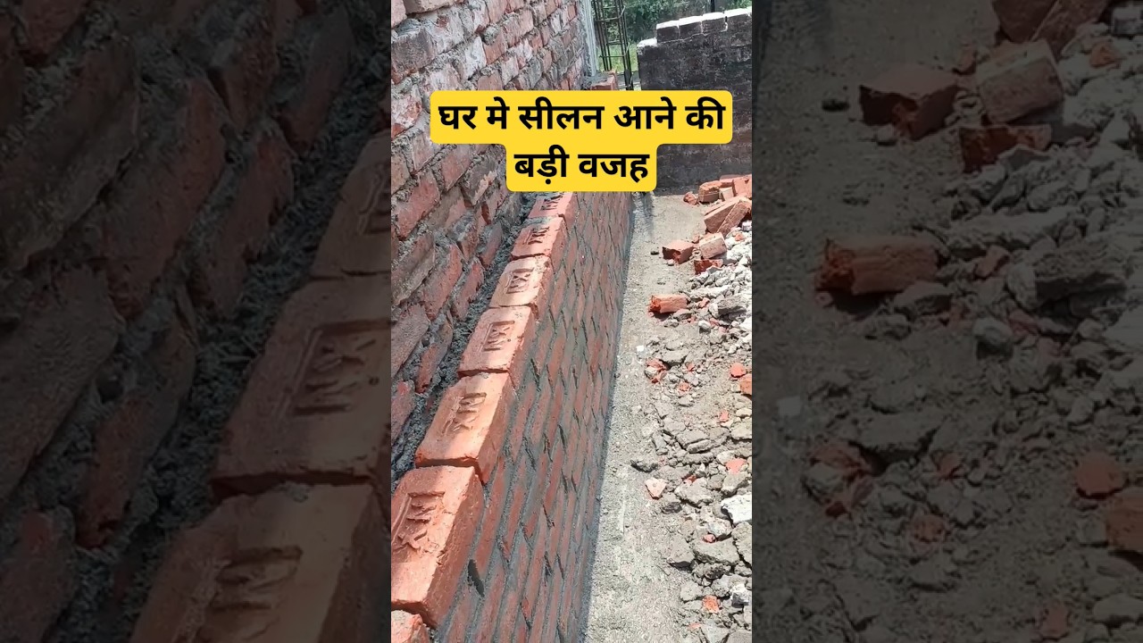 दीवार सीलन से कैसे बचाएं: घर को सटा कर बनाने के आसान उपाय | #shortsvideo #shorts #civilengineering