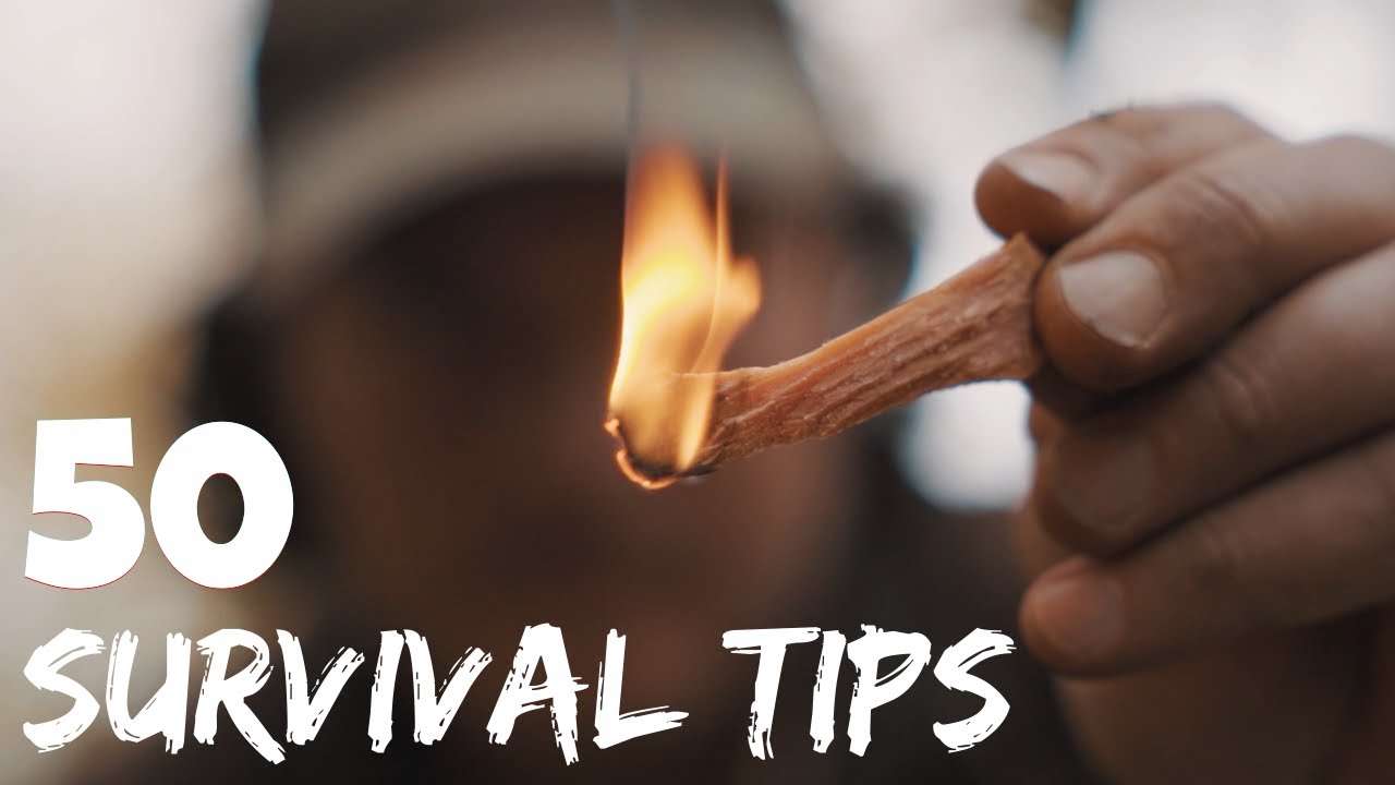 50 Essential Wilderness Survival Tips: Food, Fire, Shelter & Water 🔥