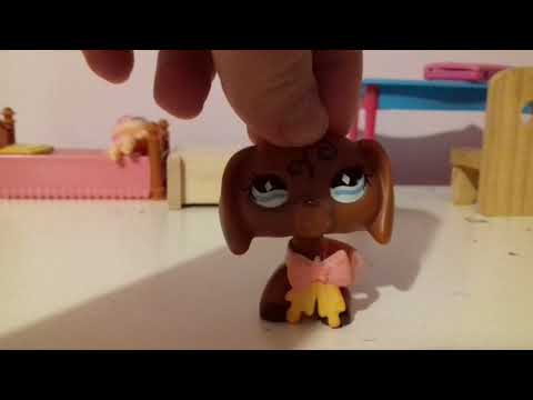 vitoyt i kittbellayoutube