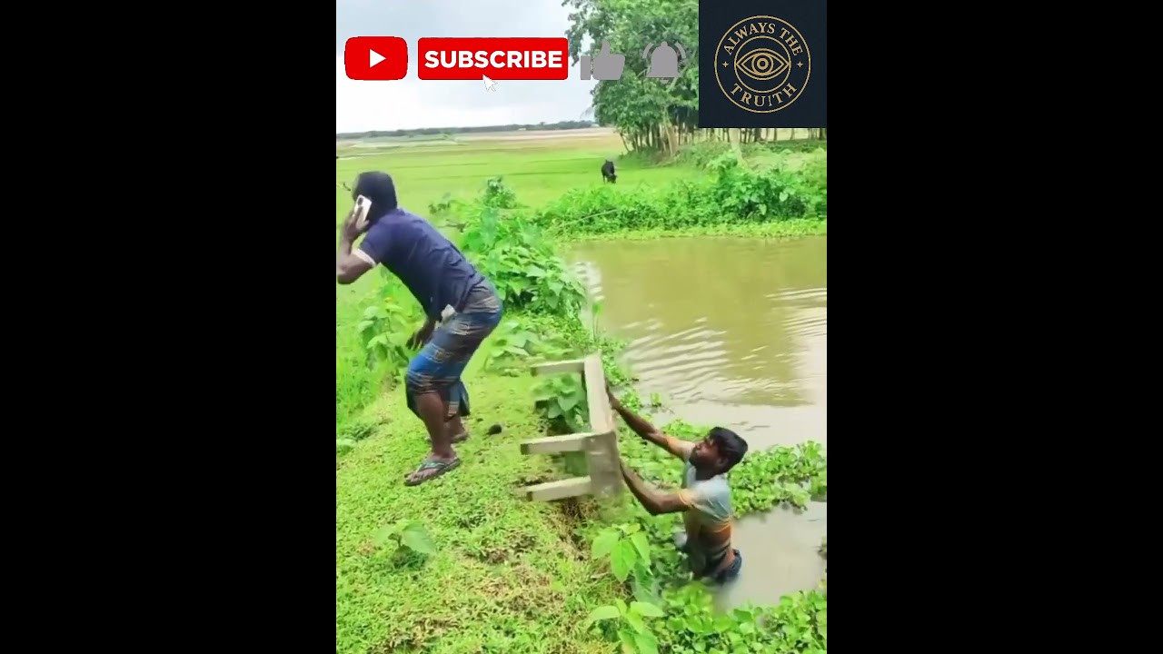 Hilarious Moments to Make You Laugh 😂