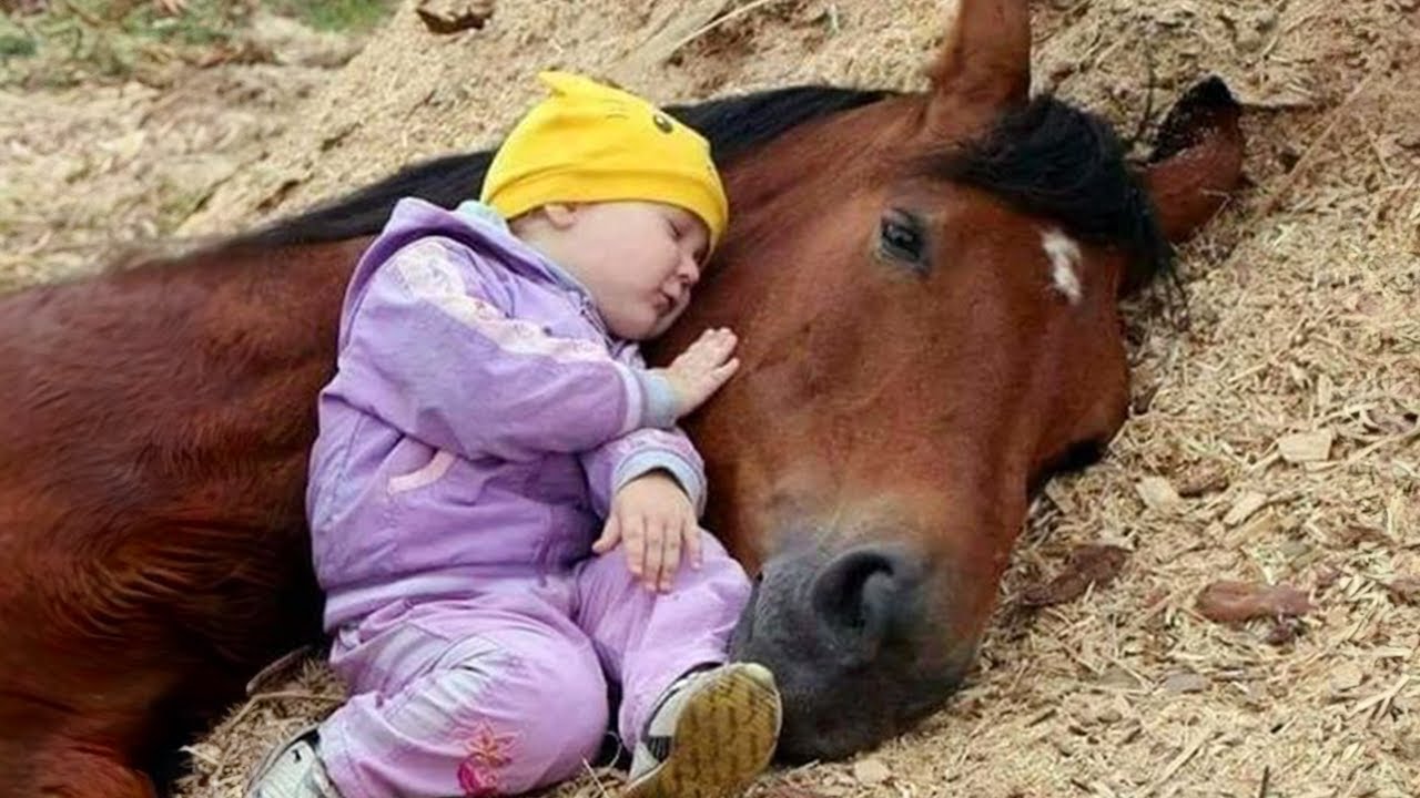 Tender Moment Between a Child and a Horse