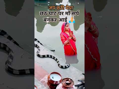 छठ घाट पर आई छठी मां सर्प के रूप मे ||jai chhathi maeya 🙏🙏||Chhath puja 🙏🙏#Chhath #ytshorts #vira