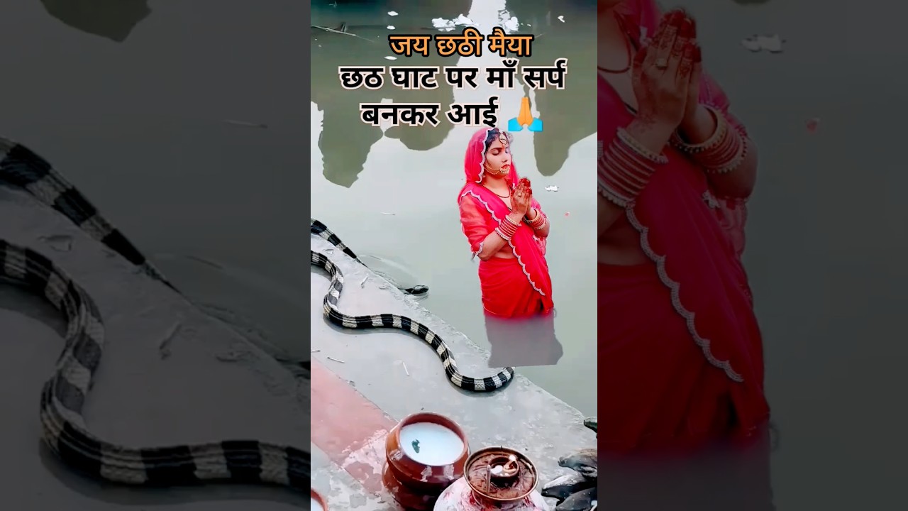 छठ घाट पर छठी मां का सर्प रूप में दर्शन 🙏 | Chhath Puja का अद्भुत दृश्य