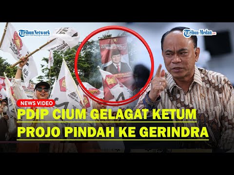 PDIP Sekakmat Ketum Projo Budi Arie Merapat ke Gerindra, Blak-blakan Kasus Judol