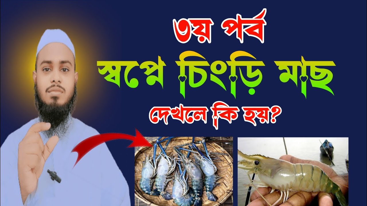 স্বপ্নে চিংড়ি মাছ দেখার অর্থ 🦐
