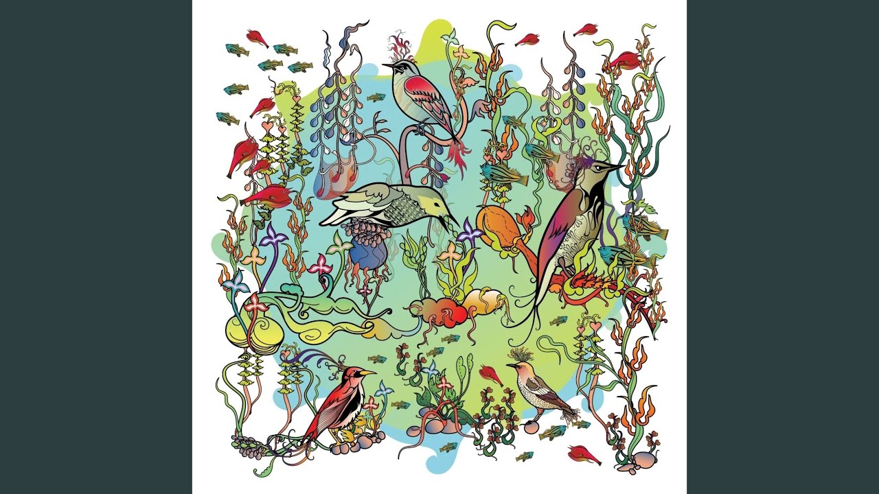 Little Bittern by John Zorn (2009) ๐ถ
