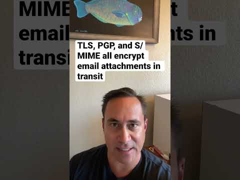 What types of encryption methods encrypt email attachments?