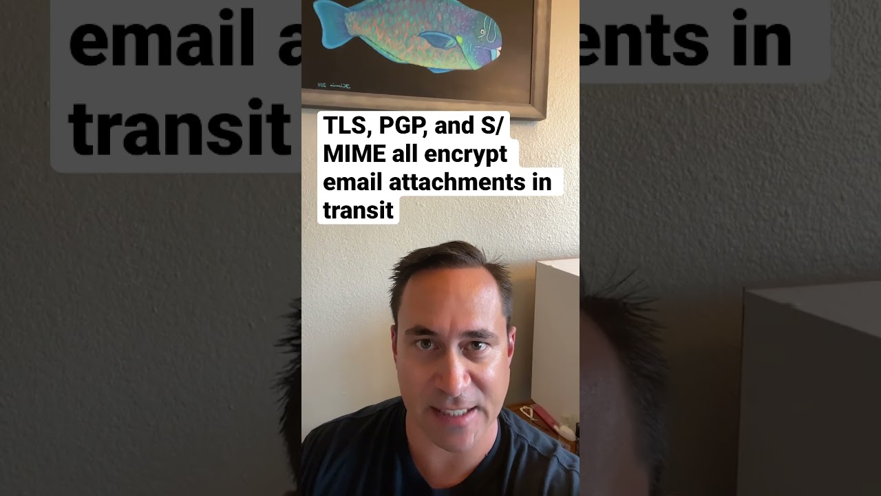 Discover the Top Encryption Methods Protecting Your Email Attachments 🔒