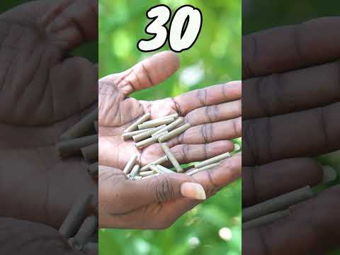 2025 Different Crackers Testing 💯🤯 #shorts