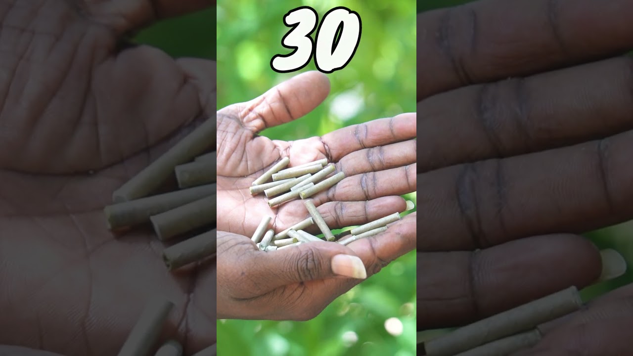 2025 Crackers Testing Highlights 🎆