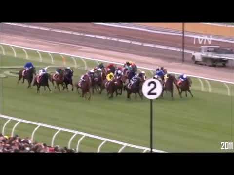 Melbourne Cup Winners 1981 - 2022