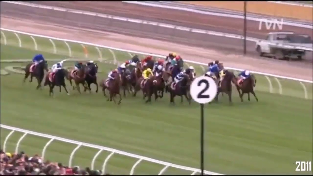 Melbourne Cup Winners (1981-2022) & James Davis Highlights (1981-2018) 🏆