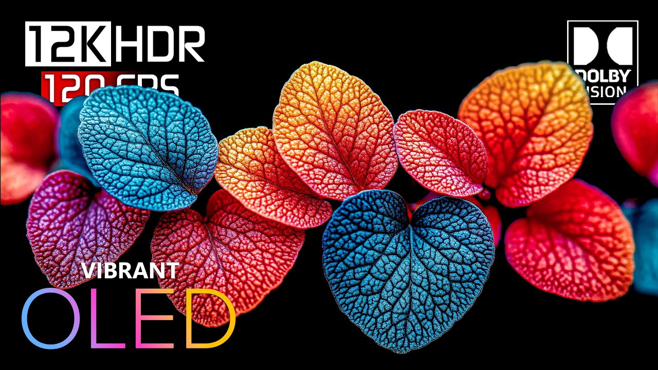The Colors HDR 12K Video ULTRA HD Dolby Vision