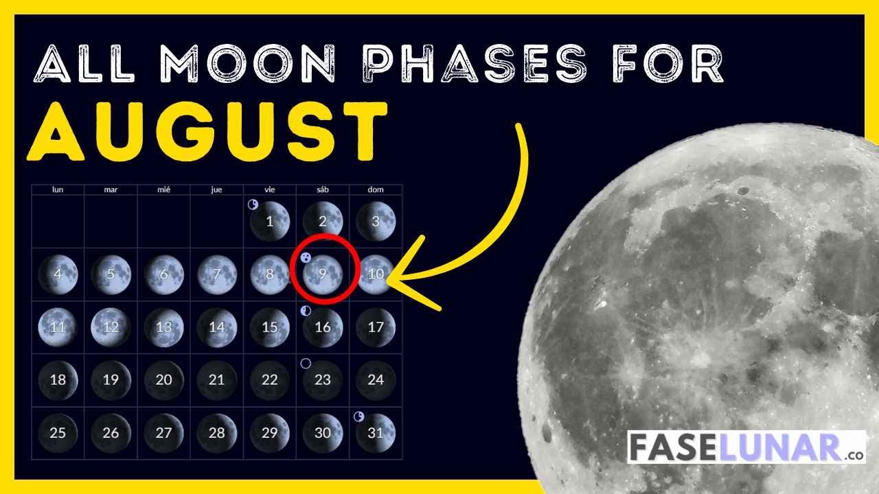 Moon Phases in August 2025 ๐ Daily Lunar Calendar