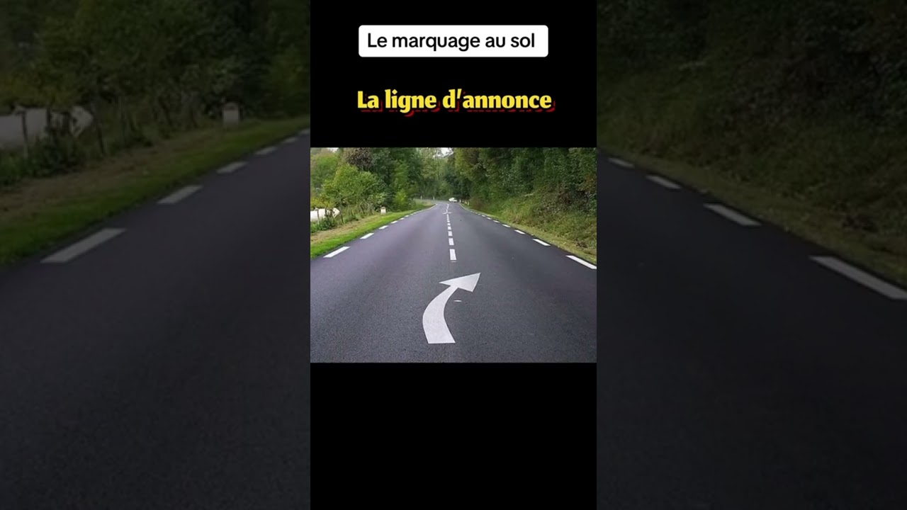 Marquage au sol : Testez vos connaissances 🚗