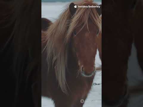 LâEnfer du Froid : -71°C, Tu Meurs en 10 Minutes
