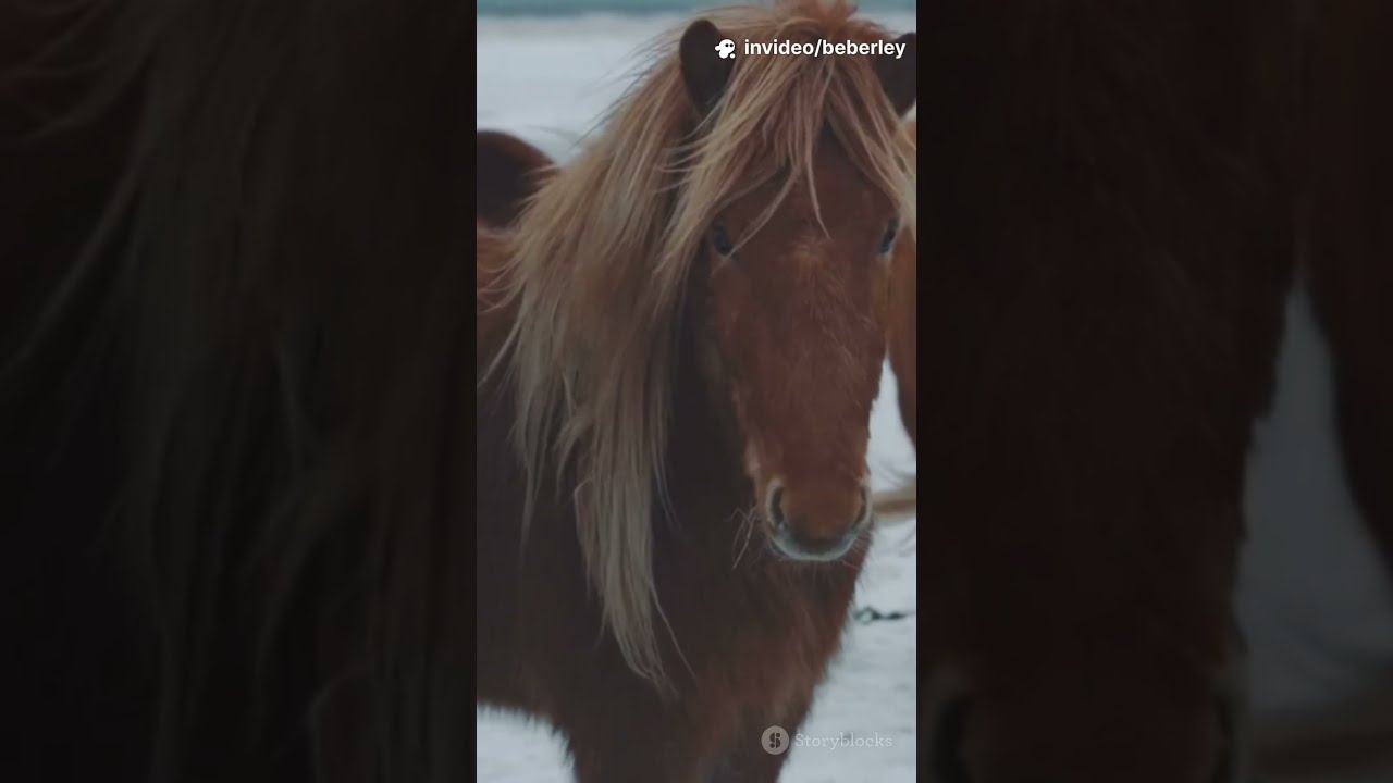L’Enfer du Froid : -71°C à Oïmiakon, Tu Risques la Mort en 10 Minutes ❄️