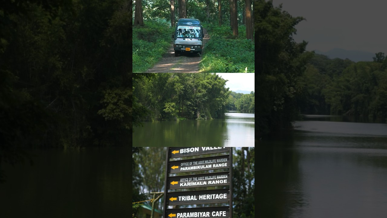 Explore Parambikkulam Forest in Kerala 🌿