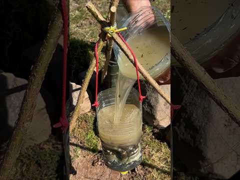 Amazing DIY Water Filter for Survival Situations! #campping #survival #skills