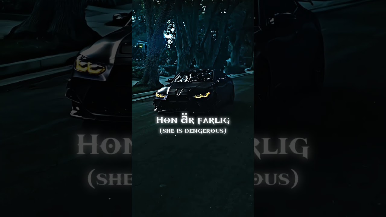 Habibi - Ricky Rich & Aram Mafia 🎶