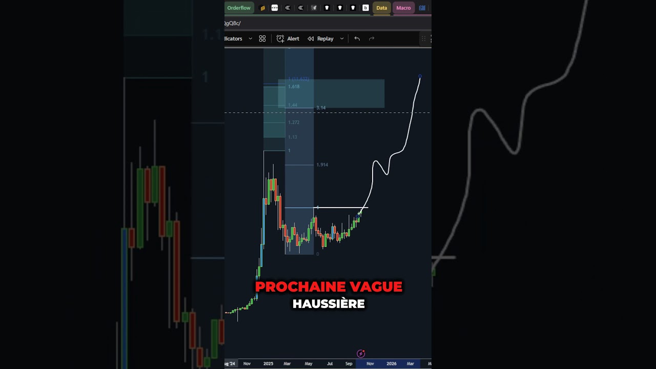 🚀 La Crypto BNB Explose ! Découvrez le Prochain Altcoin à Surperformer !