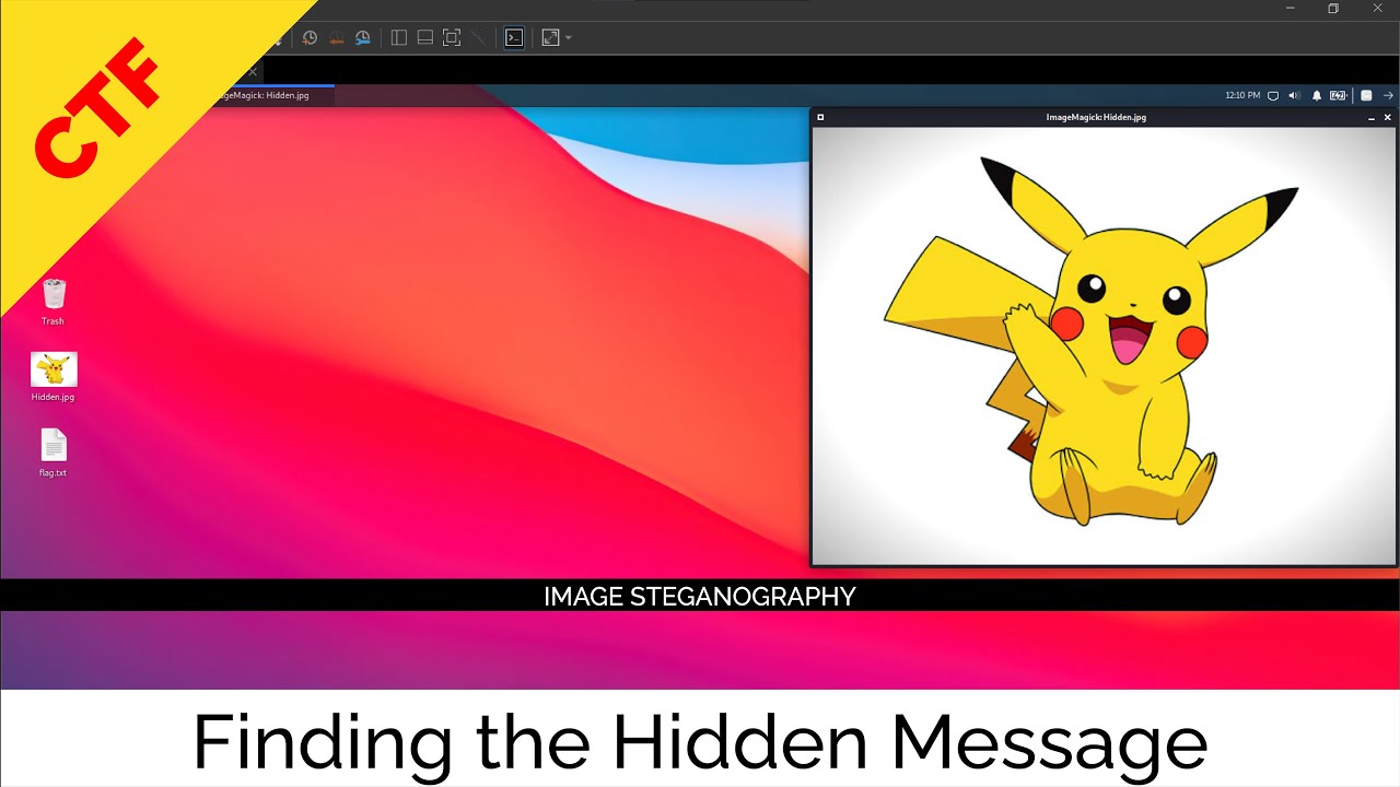Image Steganography with Steghide & Exif π