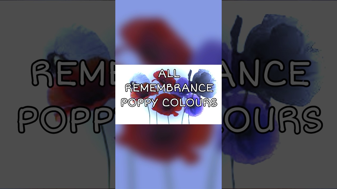 Poppy Colors for Remembrance Day 🇬🇧