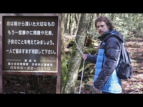 Visité el "bosque de los suicidas" en Japón...