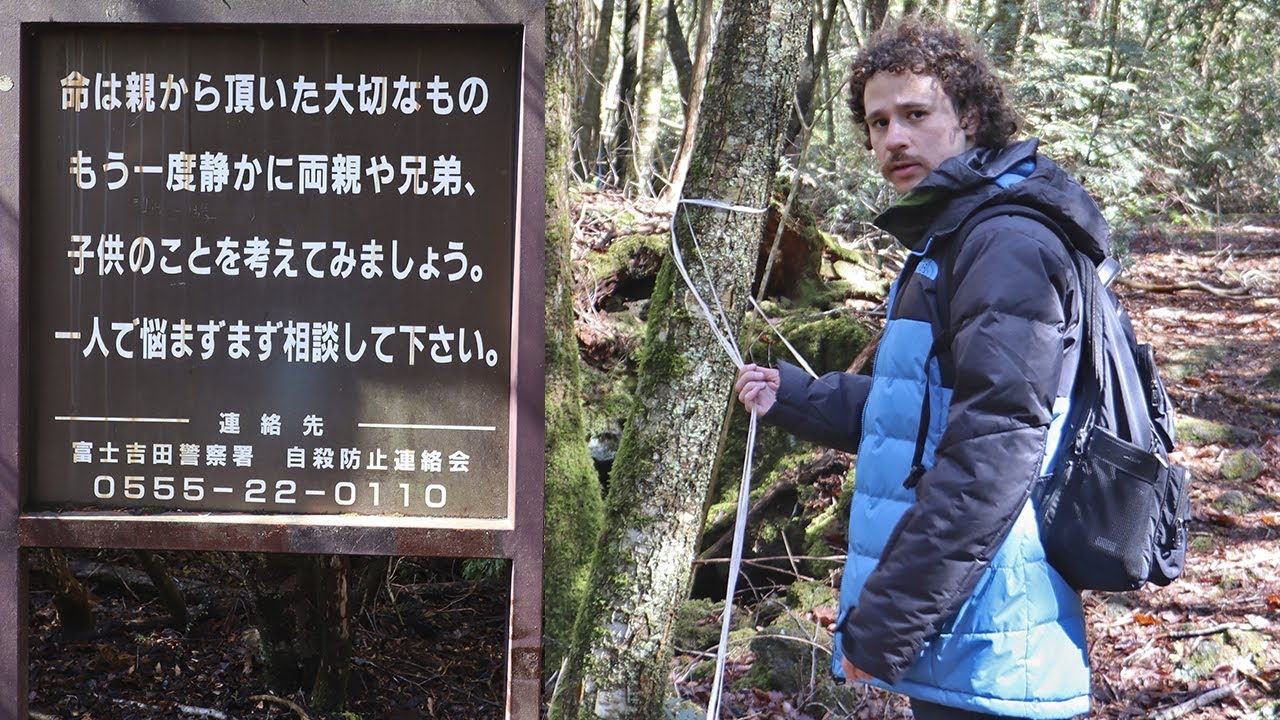 Explorando el Bosque de los Suicidas en Japón: Reflexión y Conciencia