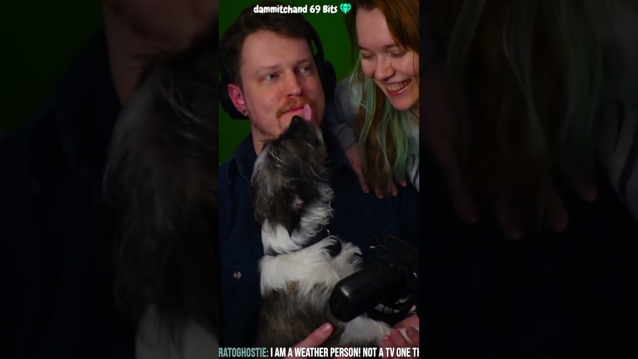 My Unusual Dog & Friendly Gamer Tips 🖤