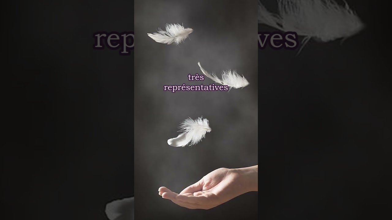 Signification des plumes selon leur couleur 🪶
