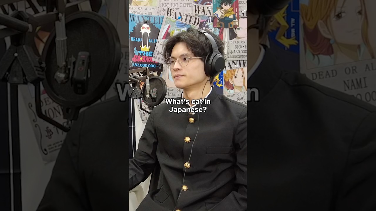 Do Nya Try This At Home               #learnjapanese #japaneseculture