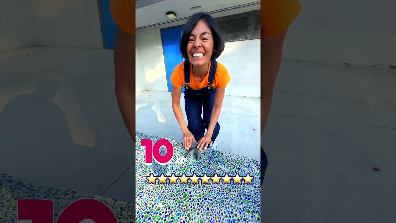 Kids' Songs & Videos by 123andres 🎶