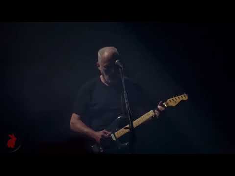 David Gilmour Performs 'Sorrow' Live in Nîmes 2016 🎸