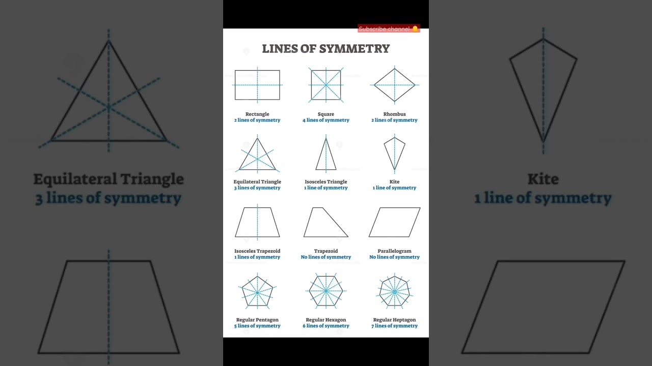 Master the Lines of Symmetry in Basic Math ✨