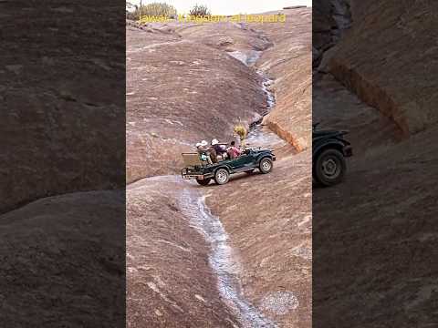 Agriculture & Animals Kingdom 