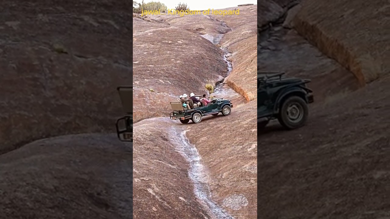 Jawai: Kingdom of Leopards & Safari Adventure 🐆