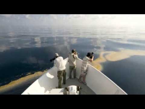 Urgent: Major Oil Spill Off Western Australia 🌊