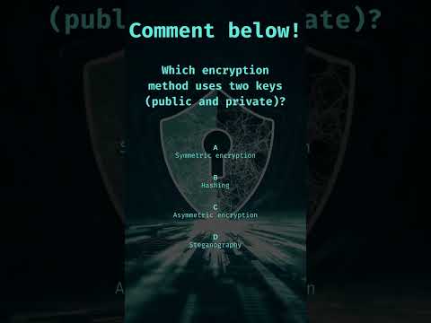 Which encryption method uses two keys (public and private)?