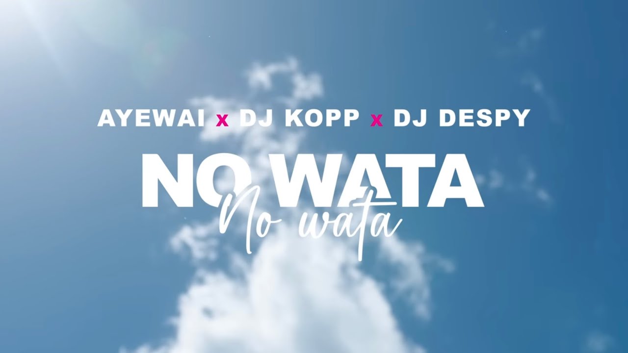 🎶 Ayewai x Dj Kopp x Dj Despy - No Wata (Clip Officiel) | Hit 2023