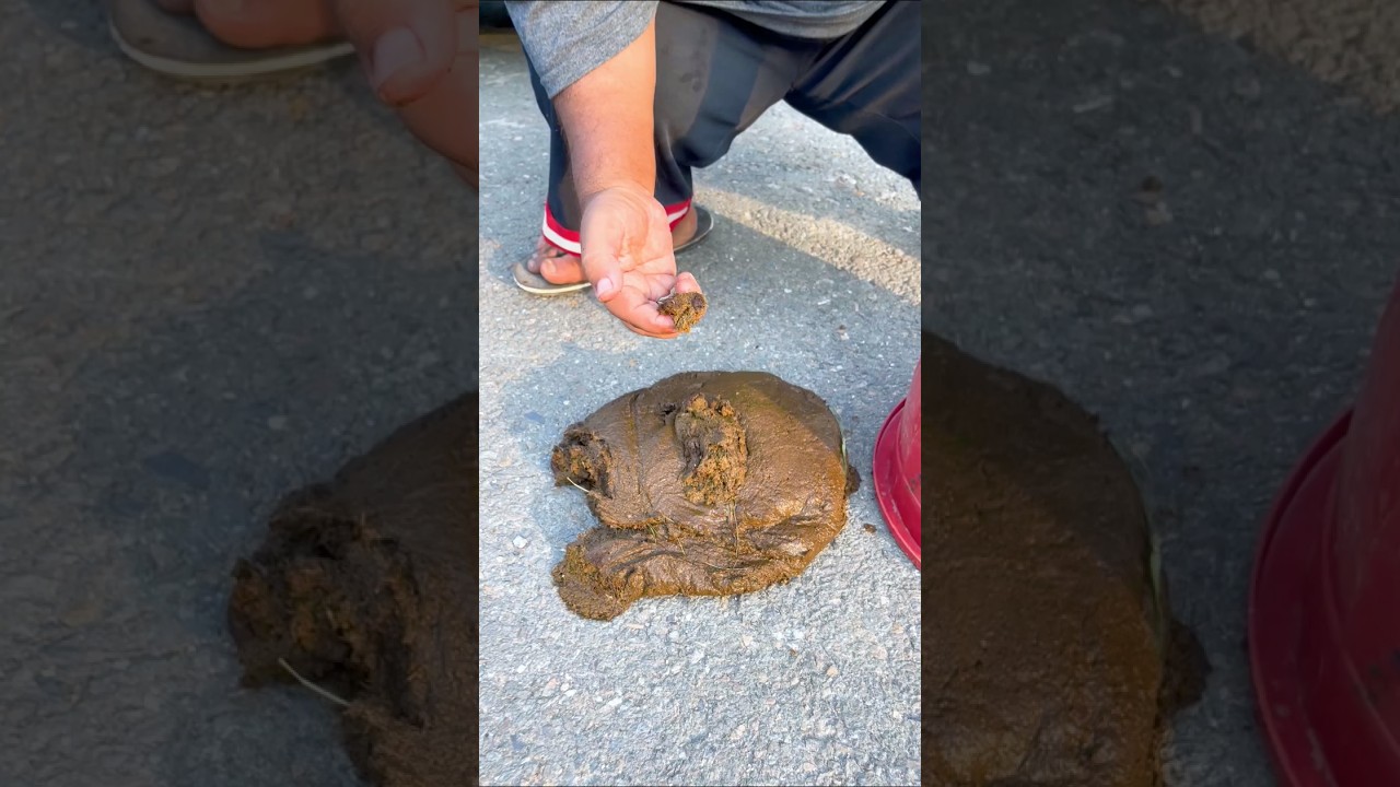 Laugh Out Loud Moments 🤣