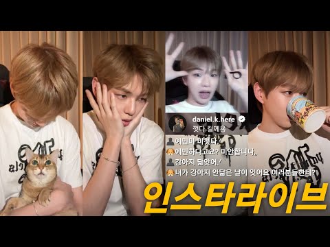 250501 강다니엘 인스타그램 라이브