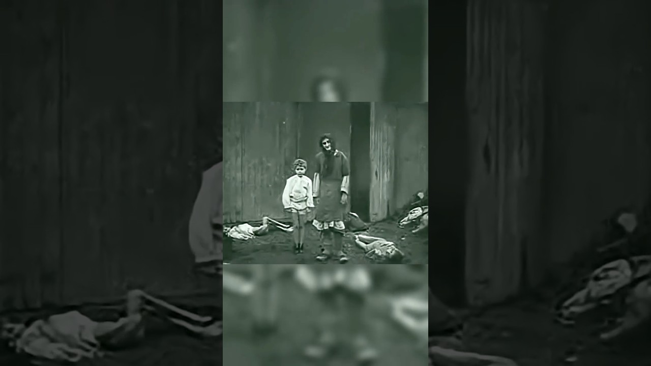 Rare Auschwitz Footage After Liberation 🎥