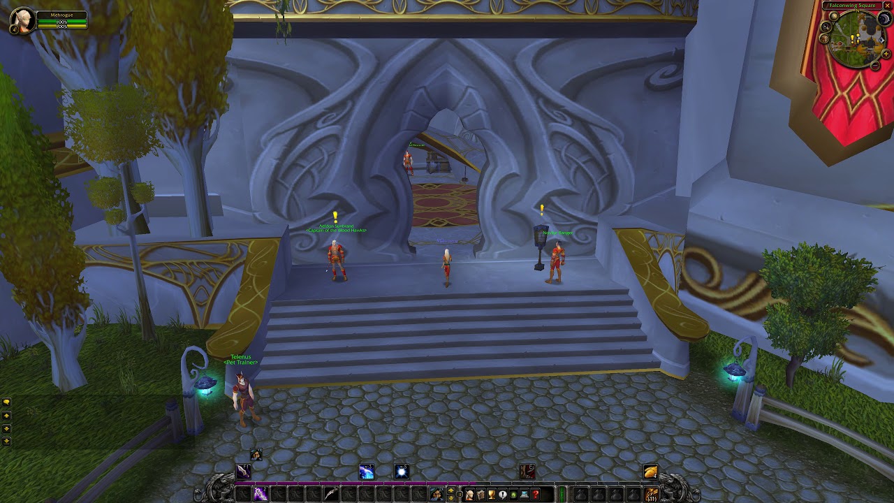 WoW TBC: Duelist Larenis Location 🎯