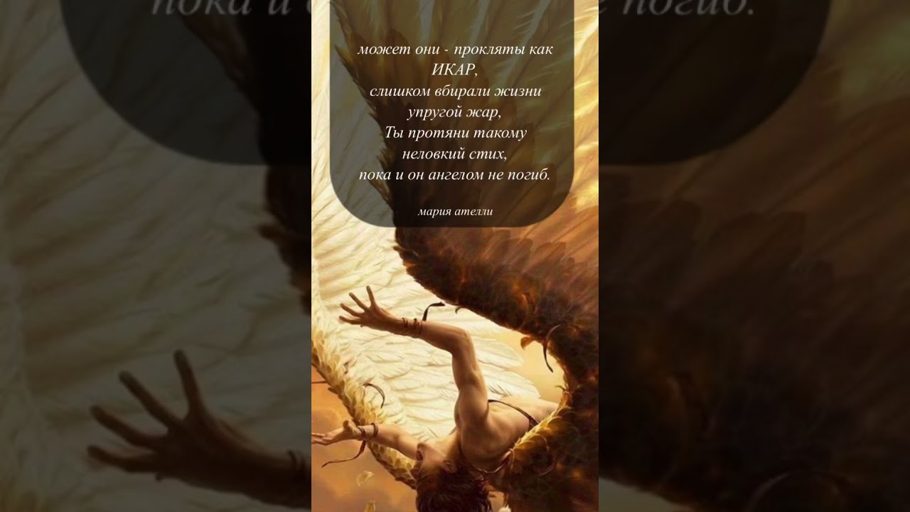 #литература #стихи #стих #поэзия #лирика #любовнаялирика