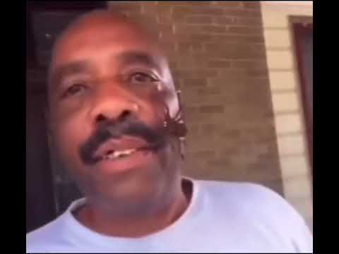 Random Video & Meme Compilation #2 🎥