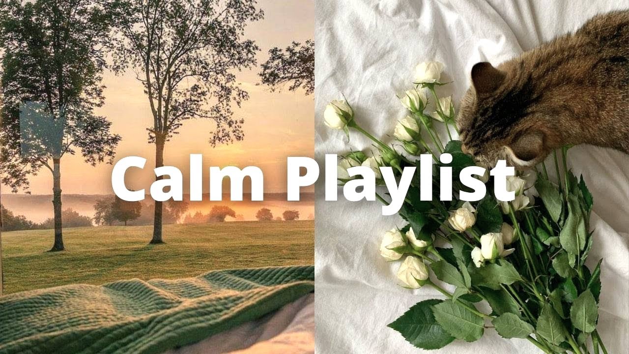 Calm Background Music for Relaxation 🎶