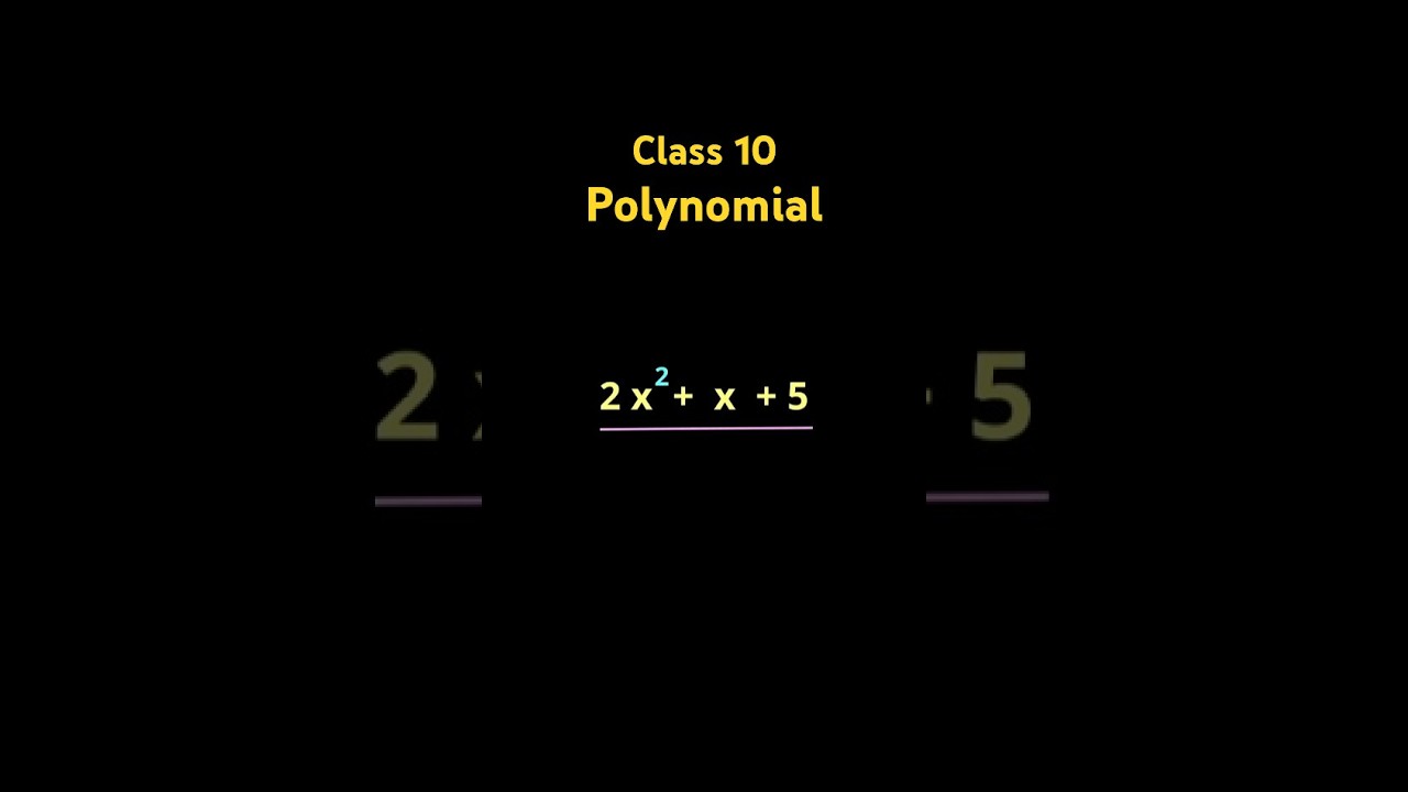 What is a Polynomial? Simple Explanation for Class 9 & 10 ๐
