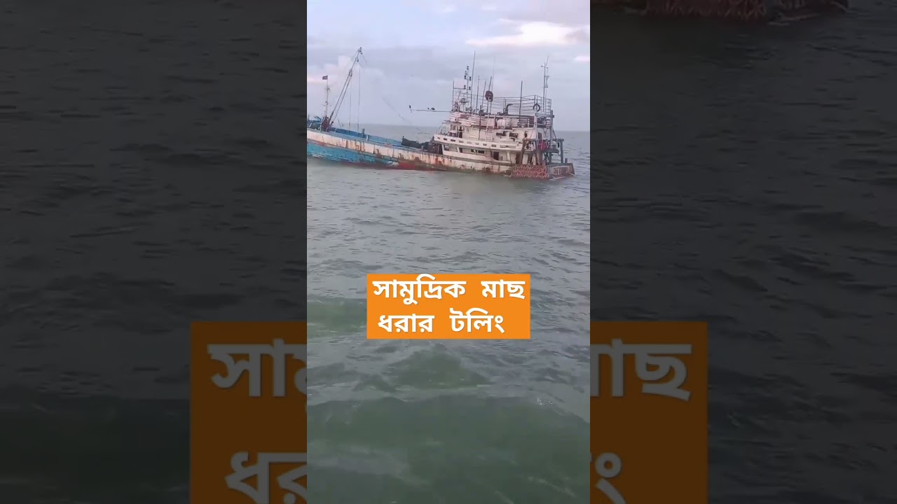 Fishing Trolling Trailer 🎣